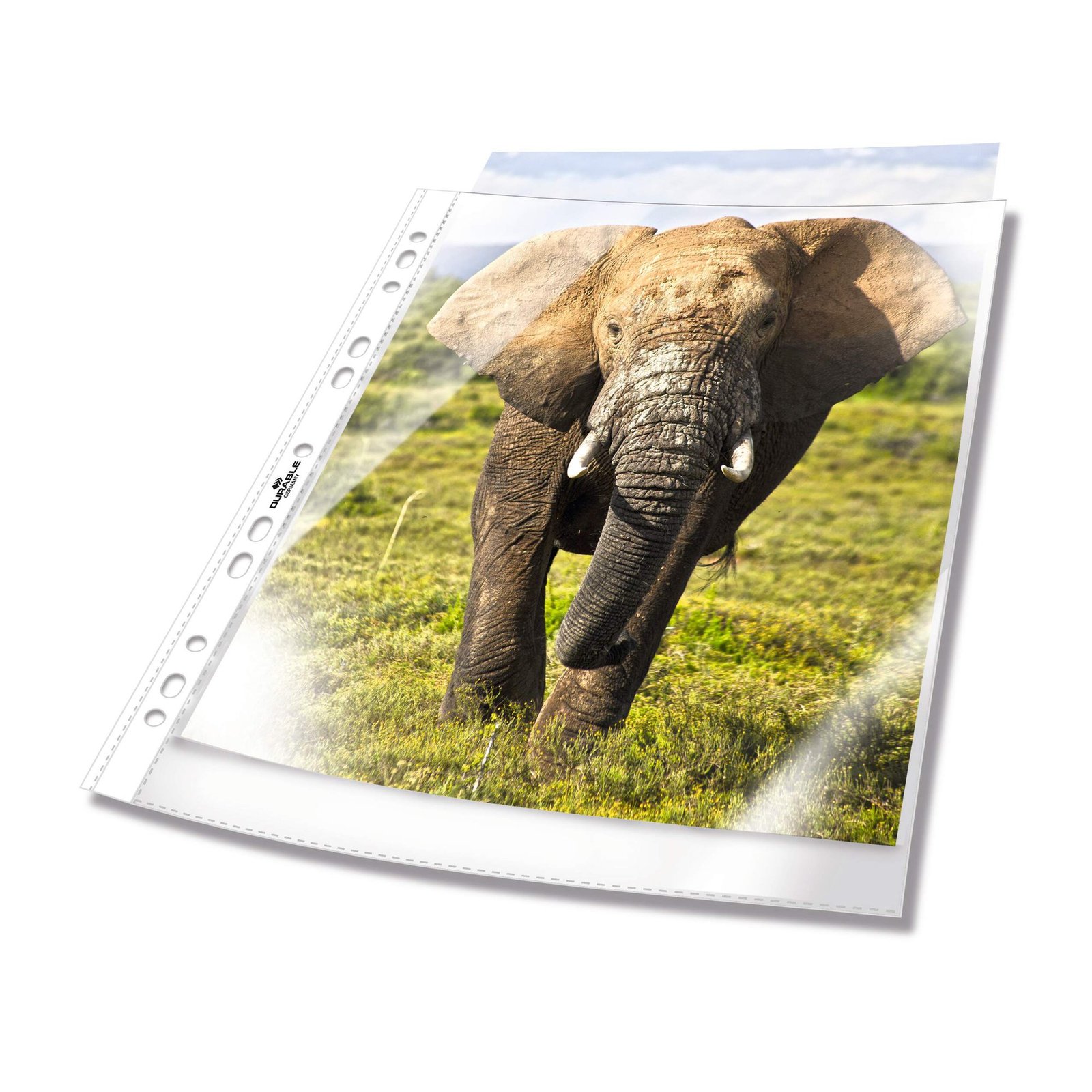 265819_1 Durable BUSINESS Punched Pocket 100 (100) - Image 1