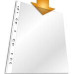 Durable STANDARD Punched Pockets 100 A4 (100)