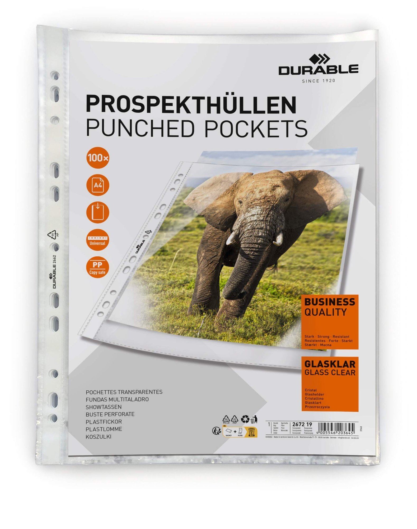 2672_19_pac_b Durable BUSINESS Punched Pocket 100 A4 (100) - Image 1