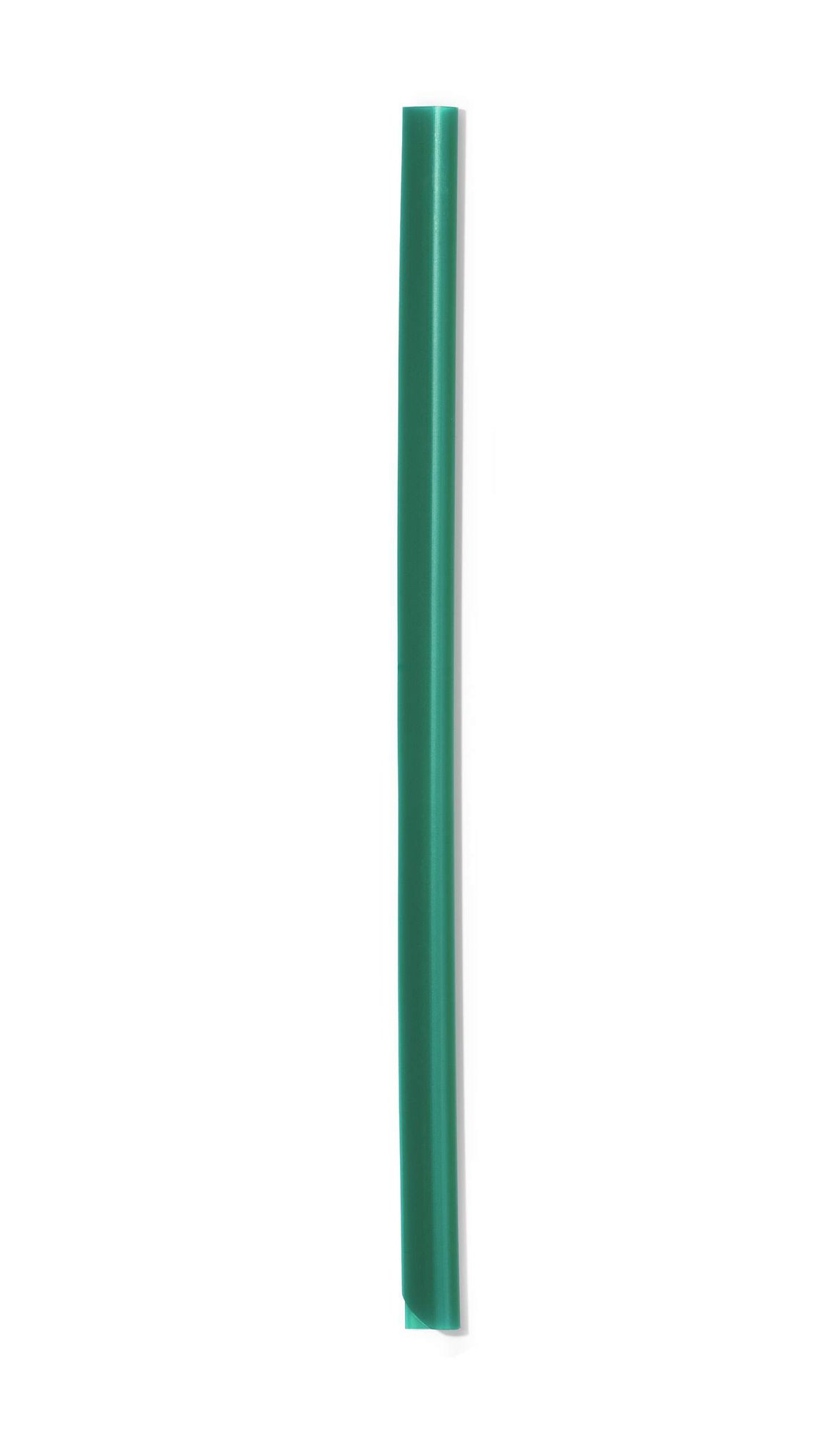 293105_1 Durable SPINE BAR A4 6mm Green (50) - Image 1